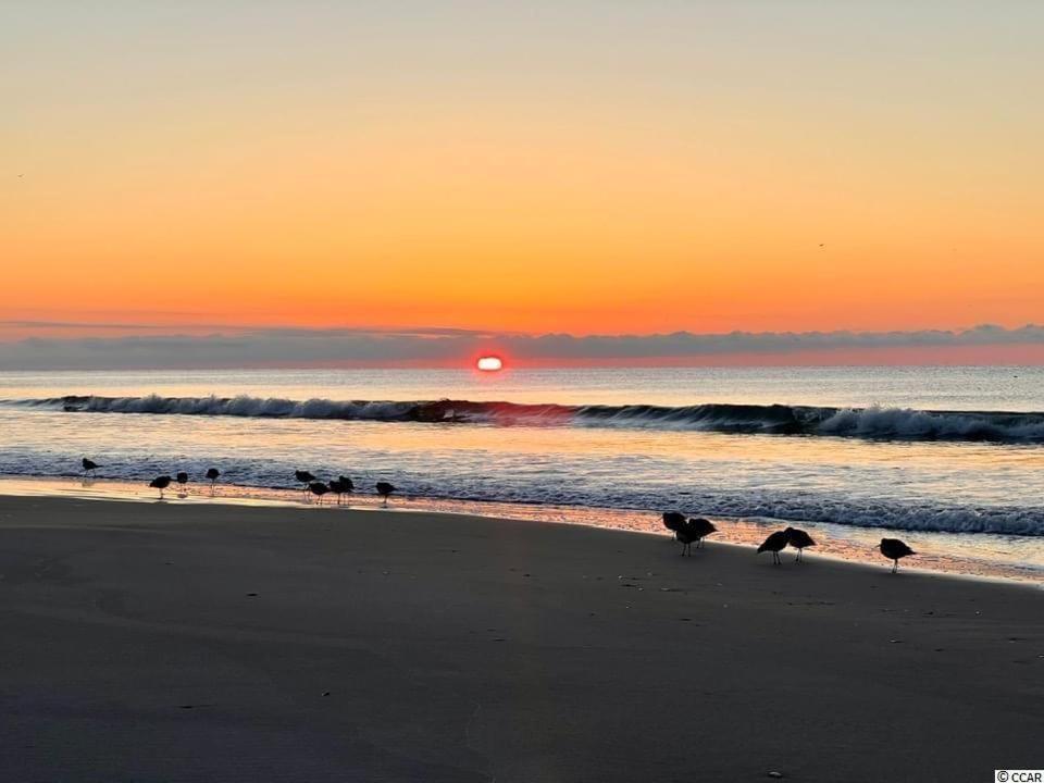 Beautiful Beachfront-Oceanfront First Floor 2Br 2Ba Condo In Cherry Grove, North Myrtle Beach! Renovated With A Fully Equipped Kitchen, 3 Separate Beds, Pool, Private Patio & Steps To The Sand! Exterior foto